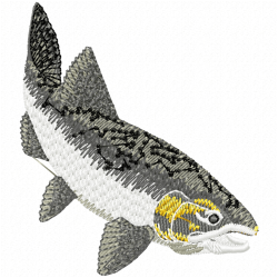 Fishes Embroidery Design 12 Fishes Embroidery Design 12